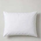 Pillow with eco-swan down "Dream Cloud", 50x70, white